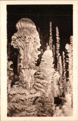 Grutas de Chou-Fleur — Na Floresta Virgem — L'AVEN-ARMAND, Limoges