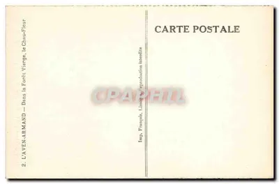 Grutas de Chou-Fleur — Na Floresta Virgem — L'AVEN-ARMAND, Limoges — Verso