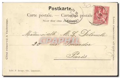 Zwierzęta - Kozica - Kozioł Chamois - 1901 Stara pocztówka — Rewers