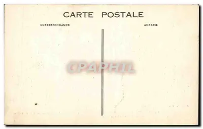 Paryż — Ogólny widok Katedry Notre-Dame z podstawy wielkiego akacji wiekowego — Clos Saint-Julien-le-Pauvre — Rewers