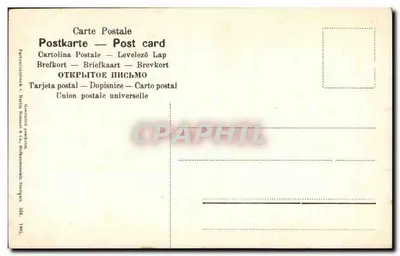 Houx de Corse — ilustração botânica — n° 354 — Verso