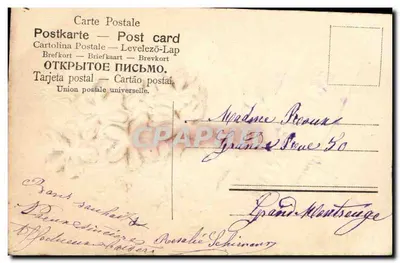 Flores violetas — Boa Ano — editor desconhecido, número de série não visível — Verso