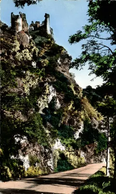 Castelo de Rochefort — ruínas do século XII — editor C.A.P. (nº 49)
