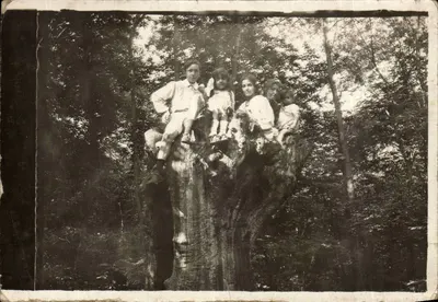 Família Gay e Celli — árvore oca — Paris — G. Jarchi, Paris