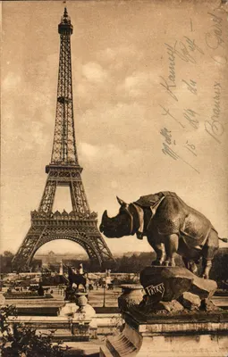París — Estatua del Rinoceronte en el Jardín del Trocadéro — Ediciones d'Arte 'París'