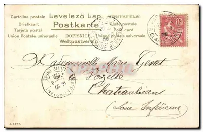 Rosa — fiore e boccioli — editore S.3877 — Verso