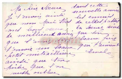 एक युवा महिला जो एक हॉक ले रही है — प्रकाशक नूर, संख्या 2213 — पीछे