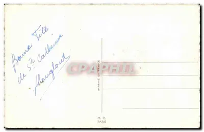 Flores — anémonas e mimosa — H. Hauglaud, Paris — Verso