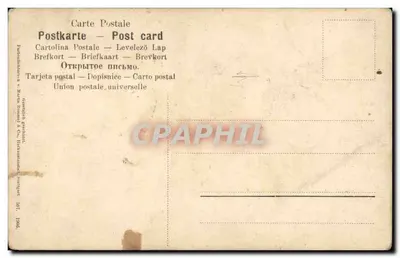 Bukiet kwiatów — ilustracja botaniczna — wydawca Martin Rommel & Co. nr 4017 — Rewers