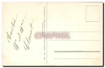 Rosas — ilustração botânica — editor não visível — Verso