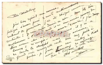Arranjo de lilás e rosas — editor Pittius, n°796 — Verso