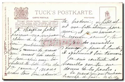 Dwa kormorany — zima — Tuck's Postkarte, seria Ollfette, nr 857 — Rewers