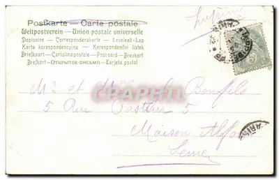 Dwa ptaki na krzaku armoisu — wydawca nieznany, nr 797 — Rewers