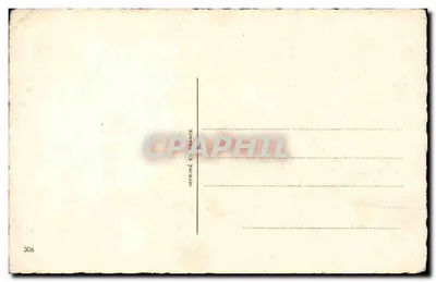 Arranjo de flores — cesta decorada com uma fita azul — n°306 — Verso