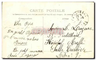 Retrato de uma jovem mulher — ornamentos florais e fita azul — editor desconhecido — Verso
