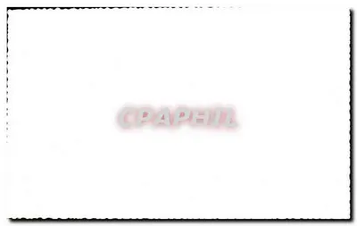 Casal no parque — cena urbana — Verso