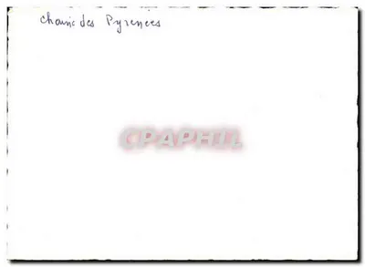 Chaunic des Pyrénées — panoramisch uitzicht met sneeuwbedekte bergen — serie 10 — Achterkant