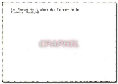 The Pigeons of Place des Terreaux and the Bartholdi Fountain — Lyon — Back