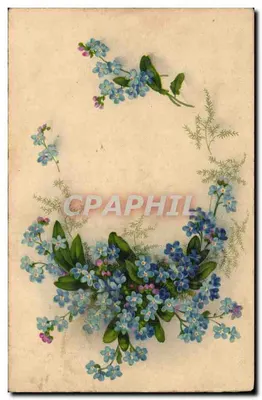 Flores de esquecimento — decoração floral — editor desconhecido, número de série não visível