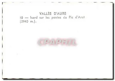 Isard nas encostas do Pic d'Aret — Vale d'Aure — série 10 — Verso