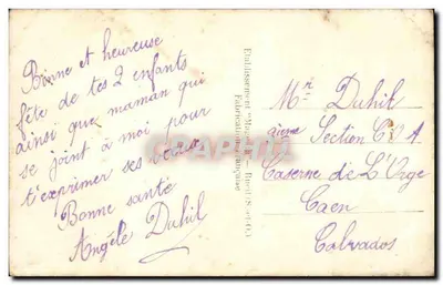 Bouquet de fleurs — anémones et fougères dans un vase — éditeur REX n°619 — Verso