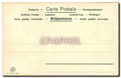 Iris — variedade com flores violetas e manchas escuras — G. Cisterio & C. Milano, n° 65 bis — Verso