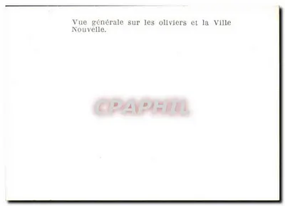 Vista geral sobre os oliveiras e a Cidade Nova — Verso