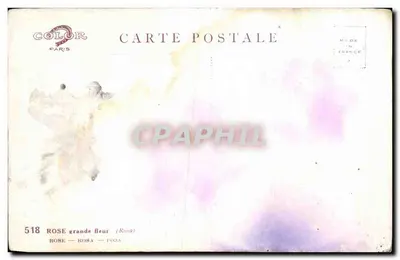 Rosa grande flor — (Rosa) — editor COLOR Paris, n° 518 — Verso