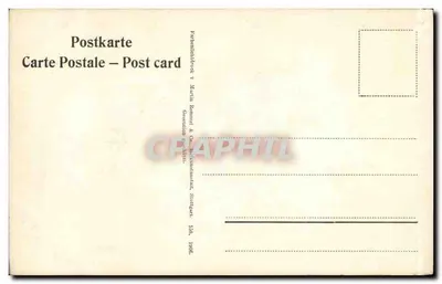 Rosas brancas e rosas — ilustração botânica — Martin Bonneel & Co., Stuttgart, n° 550 — Verso