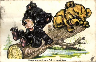 Bilhete postal moderno Fantasia Urso ursos Ursos