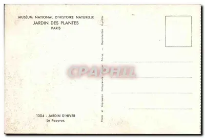 Jardim de Inverno — O Papiro — Museu Nacional de História Natural, Jardim das Plantas, Paris — Verso