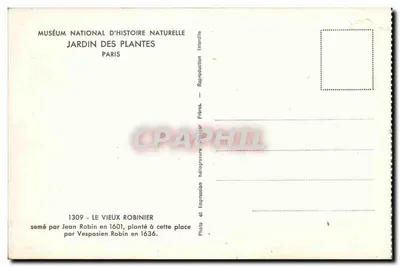 Jardim das Plantas — O Velho Robinier — Museu Nacional de História Natural, Paris — Verso