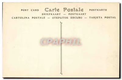 Wnętrze katedry — nawy i gotyckie sklepienia — wydawca nieznany — Rewers