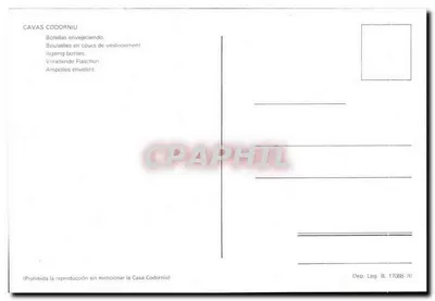 Jaskinia Casa Codorniu — Butelki cava w procesie dojrzewania — Casa Codorniu — Rewers