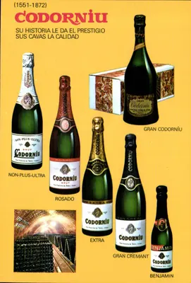 Codorníu — Historia y cavas — Publicité