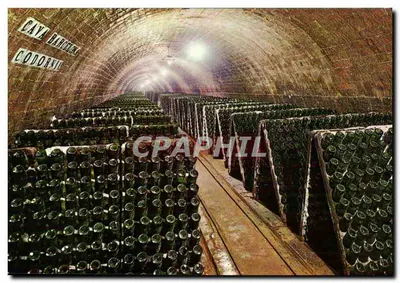 Cave Codorniu — Cava Barcena — Cava Codorniu