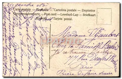 Bouquet di fiori — Cesto di rose, ortensie e fiori selvatici — Cartolina postale — Verso