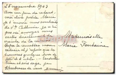 Anémonas e botões de carvalho — buquê em um vaso — editor não visível — Verso