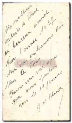 Fleurs de pensées — Bonne année — Carte postale de vœux — Verso