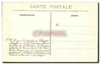 Paris — O Ponte Alexandre III — Maggi — Verso