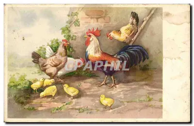 मुर्गी और छेंगा — खेत की झलक — प्रकाशक टिवोली, बेल्जियम, संख्या 1004