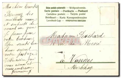 Kwiaty — bukiet narcyzów i lilii — kartka pocztowa — Rewers