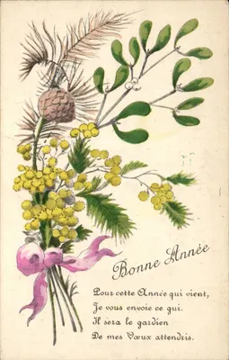 Buquê de musgo, amoras e mimosa — Boa Ano — G. Harel, Paris