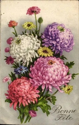 Bouquet de chrysanthèmes colorés — Bonne Fête — éditeur et n° de série non lisibles