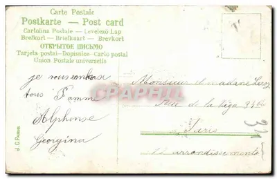Fiolet — bukiet w doniczce — J.C. Paris — Rewers