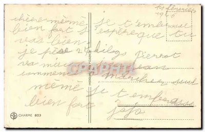 Pies i kwiaty — Szczęśliwego Nowego Roku — Charme 823 — Rewers