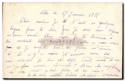 Młoda kobieta i niemiecki pies — zdjęcie studium — wydawca '4911' — Rewers