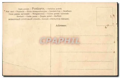 Pansées coloridas — ilustração botânica — editor não visível — Verso