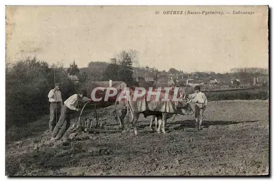 Orthez (Basses-Pyrénées) — Laboreio — editor: B. Gourna