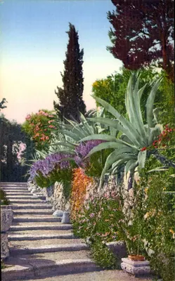 Jardim em San Remo — Editor Brunner & C., Como — N° 16540